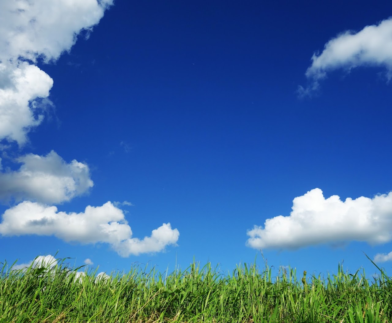 Image of a blue sky with clouds and grass in the foreground 